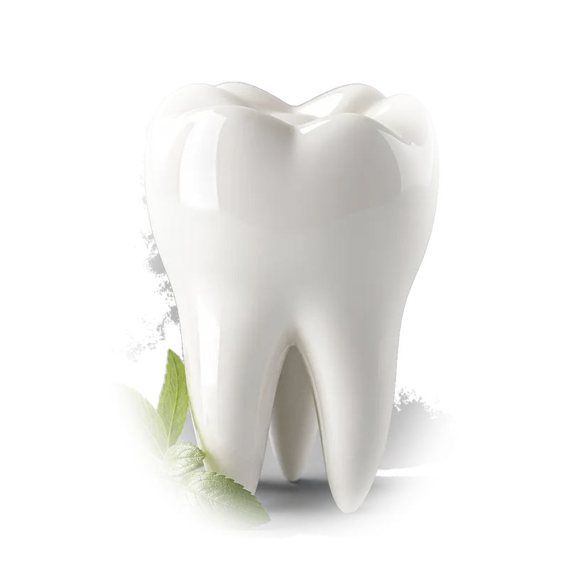 A biological tooth